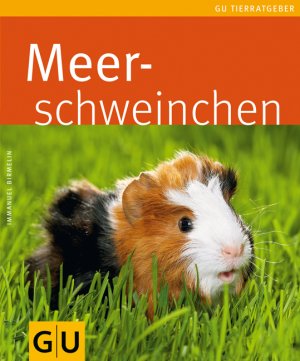 gebrauchtes Buch – Immanuel Birmelin – Meerschweinchen (GU-Tierratgeber)