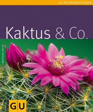 ISBN 9783833811258: Kaktus & Co. Autor: Matthias Uhlig