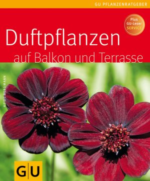 gebrauchtes Buch – Heide Bergmann – Duftpflanzen für Balkon und Terrasse: Plus GU-Leser Service