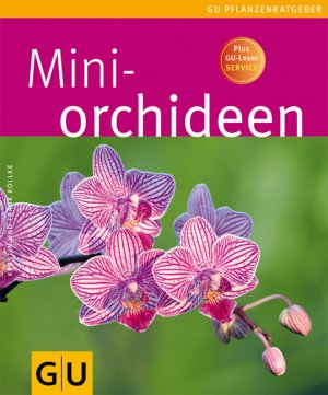 ISBN 9783833816109: Mini-Orchideen