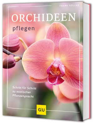 ISBN 9783833896774: Orchideen pflegen