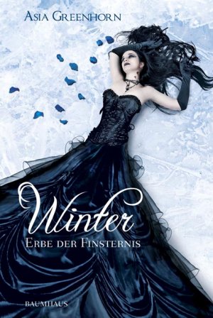 ISBN 9783833901584: Winter - Erbe der Finsternis