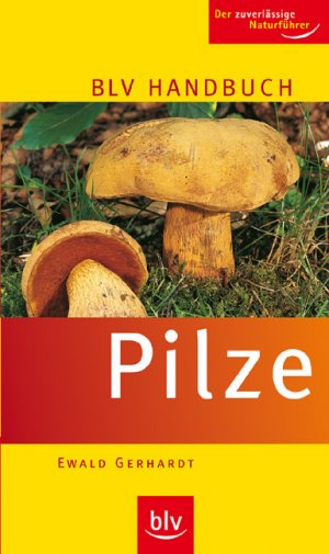 ISBN 9783835400535: BLV Handbuch Pilze