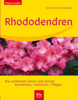 ISBN 9783835400726: Rhododendren - Die schönsten Arten und Sorten. Auswählen, Gestalten, Pflegen