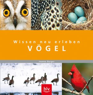 ISBN 9783835401044: Wissen neu erleben Vögel