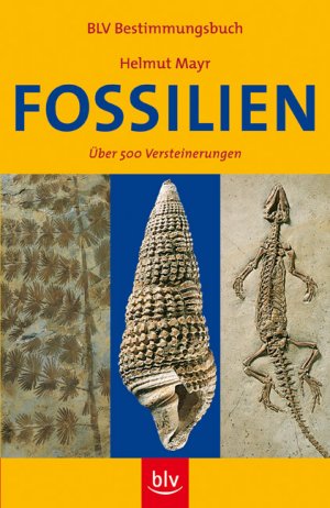 ISBN 9783835401204: Fossilien:  Über 500 Versteinerungen