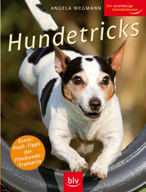 ISBN 9783835402232: Hundetricks