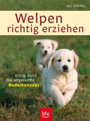 ISBN 9783835403536: Welpen richtig erziehen – Erfolg durch das artgerechte Rudelkonzept