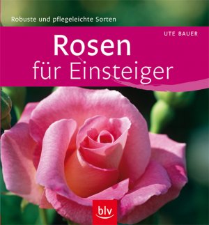 ISBN 9783835404472: Rosen für Einsteiger - robuste und pflegeleichte Sorten