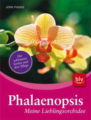 ISBN 9783835404878: Phalaenopsis - meine Lieblingsorchidee