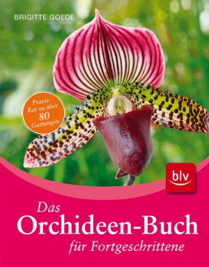 gebrauchtes Buch – Das Orchideen-Buch für Fortgeschrittene Goede – Das Orchideen-Buch für Fortgeschrittene Goede, Brigitte