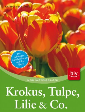 ISBN 9783835407114: KROKUS, TULPE, LILIE & CO. die schönsten Zwiebelblumen und ihre Pflege