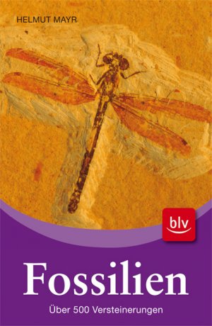 ISBN 9783835407237: Fossilien - Über 500 Versteinerungen