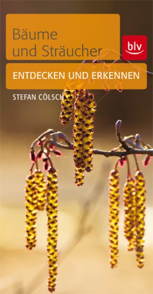 ISBN 9783835407879: Bäume & Sträucher - Entdecken und erkennen