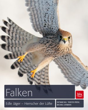 ISBN 9783835408487: Falken - Edle Jäger - Herrscher der Lüfte