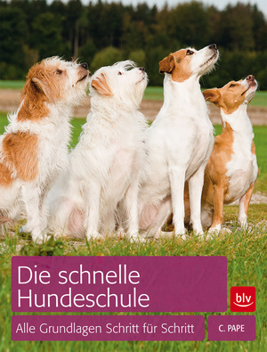 ISBN 9783835409880: Die schnelle Hundeschule – Alle Grundlagen Schritt für Schritt