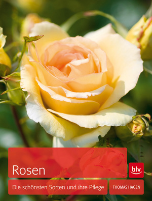 ISBN 9783835410909: Rosen - Die schönsten Sorten und ihre Pflege