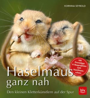 ISBN 9783835417885: Haselmaus ganz nah – Den kleinen Kletterkünstlern auf der Spur