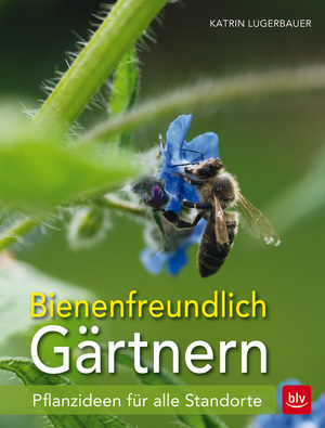 gebrauchtes Buch – Katrin Lugerbauer – Bienenfreundlich Gärtnern: Pflanzideen für alle Standorte (BLV Gartenpraxis)