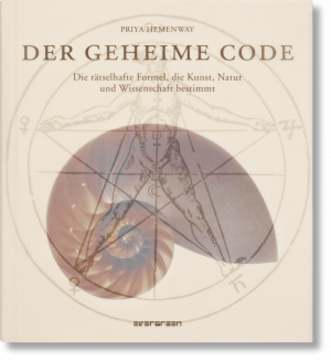 gebrauchtes Buch – Priya Hemenway – Der Geheime Code