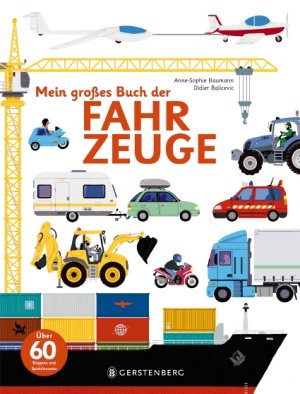 gebrauchtes Buch – Anne-Sophie Baumann – Mein großes Buch der Fahrzeuge