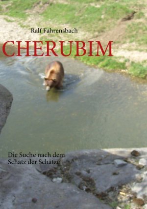 ISBN 9783837073591: CHERUBIM – Die Suche nach dem Schatz der Schätze