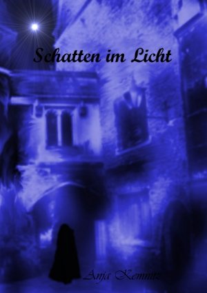 ISBN 9783837088045: Schatten im Licht