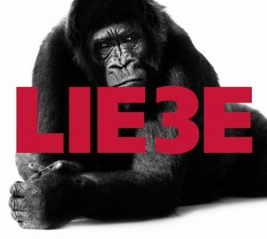 ISBN 9783837103885: Liebe Drei