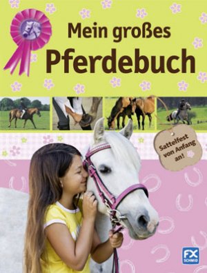 ISBN 9783838020198: Mein großes Pferdebuch