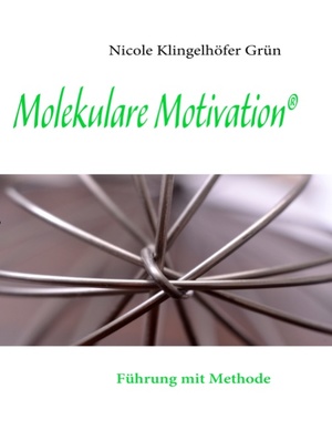 ISBN 9783839104323: Molekulare Motivation - Führung mit Methode