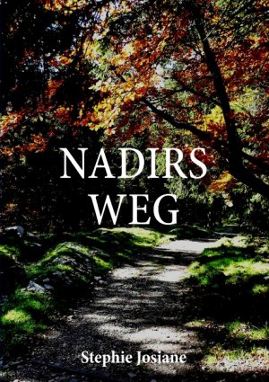 ISBN 9783839174425: Nadirs Weg