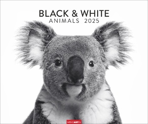 ISBN 9783839901328: Black & White Animals 2025