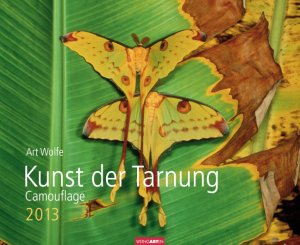 ISBN 9783840056888: Kunst der Tarnung 2013