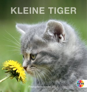 ISBN 9783840101922: Katzen Postkartenkalender 2011