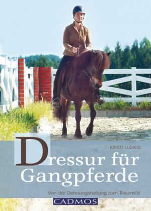 ISBN 9783840410475: Dressur für Gangpferde - Von der Dehnungshaltung zum Traumtölt