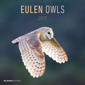 ISBN 9783840771095: Eulen 2017 - Broschürenkalender