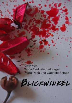 ISBN 9783842370135: Blickwinkel. Lyrik