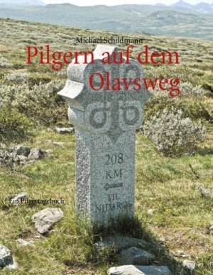 ISBN 9783842384859: Pilgern auf dem Olavsweg. Ein Pilgertagebuch