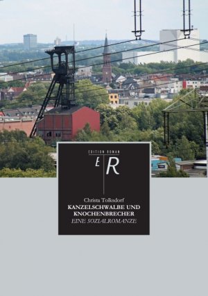 ISBN 9783842411562: KANZELSCHWALBE UND KNOCHENBRECHER - EINE SOZIALROMANZE