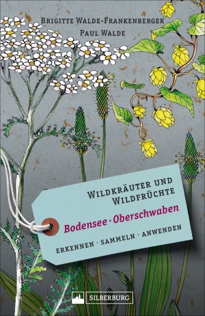 ISBN 9783842521889: Wildkräuter und Wildfrüchte Bodensee Oberschwaben - Erkennen, sammeln, anwenden