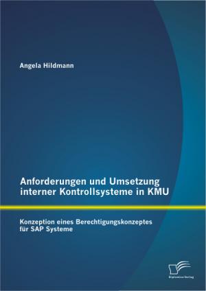 ISBN 9783842893818: Anforderungen und Umsetzung interner Kontrollsysteme in KMU: Konzeption eines Berechtigungskonzeptes für SAP Systeme