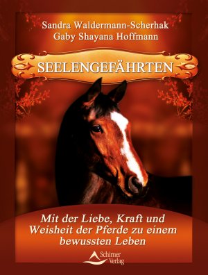 ISBN 9783843411424: Seelengefährten - Mit der Liebe, Kraft und Weisheit der Pferde zu einem bewussten Leben