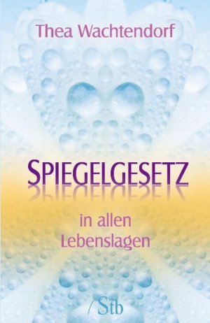 ISBN 9783843446952: Spiegelgesetz - in allen Lebenslagen