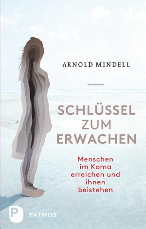 ISBN 9783843603348: Schlüssel zum Erwachen - Menschen im Koma erreichen und ihnen beistehen