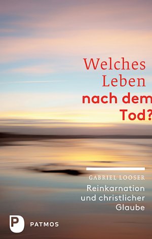 ISBN 9783843603393: Welches Leben nach dem Tod? - Reinkarnation und christlicher Glaube