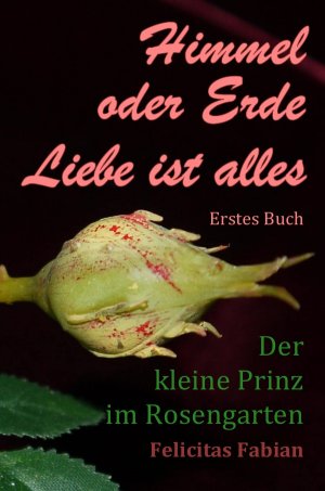 ISBN 9783844260359: Himmel oder Erde - Liebe ist alles - Band 1 - Der kleine Prinz im Rosengarten