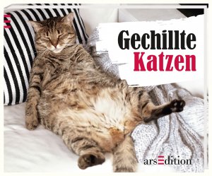 ISBN 9783845806815: Gechillte Katzen