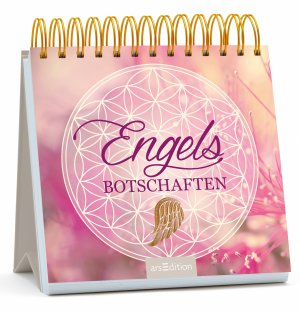 ISBN 9783845814841: Engelsbotschaften