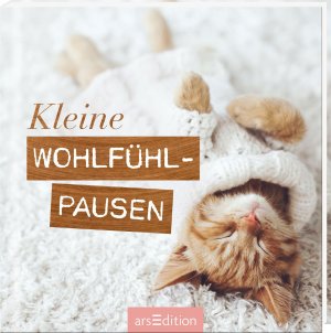 ISBN 9783845821016: Kleine Wohlfühlpausen