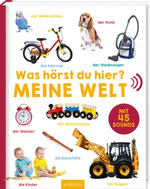 ISBN 9783845825489: Was hörst du hier? - Meine Welt